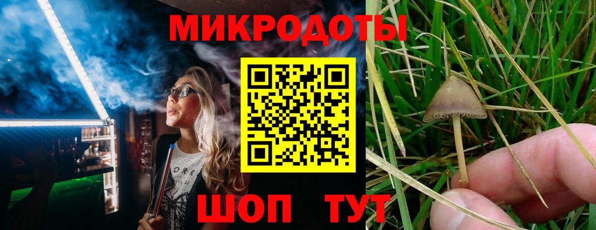купить закладку  Галлюциногенные грибы MAGIC MUSHROOMS  Вход с VPN  Аргун 