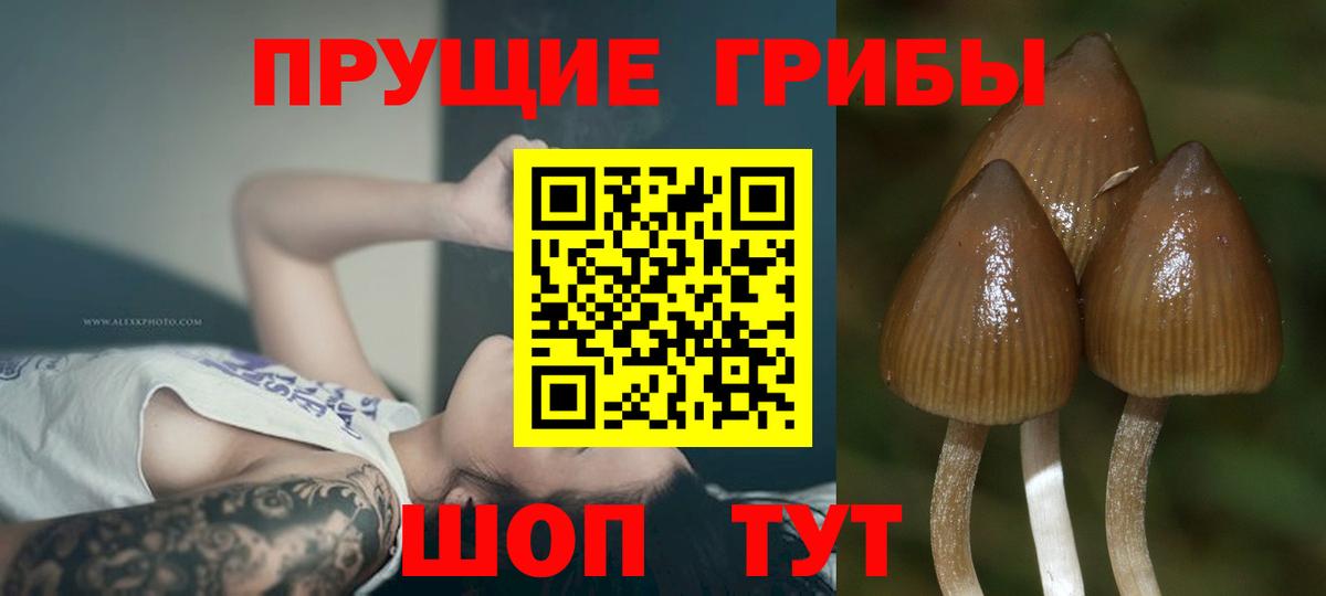 Галлюциногенные грибы мицелий Аргун