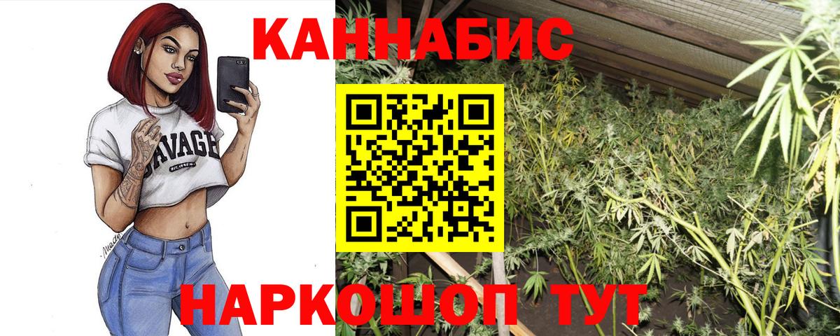 Марихуана марихуана Аргун